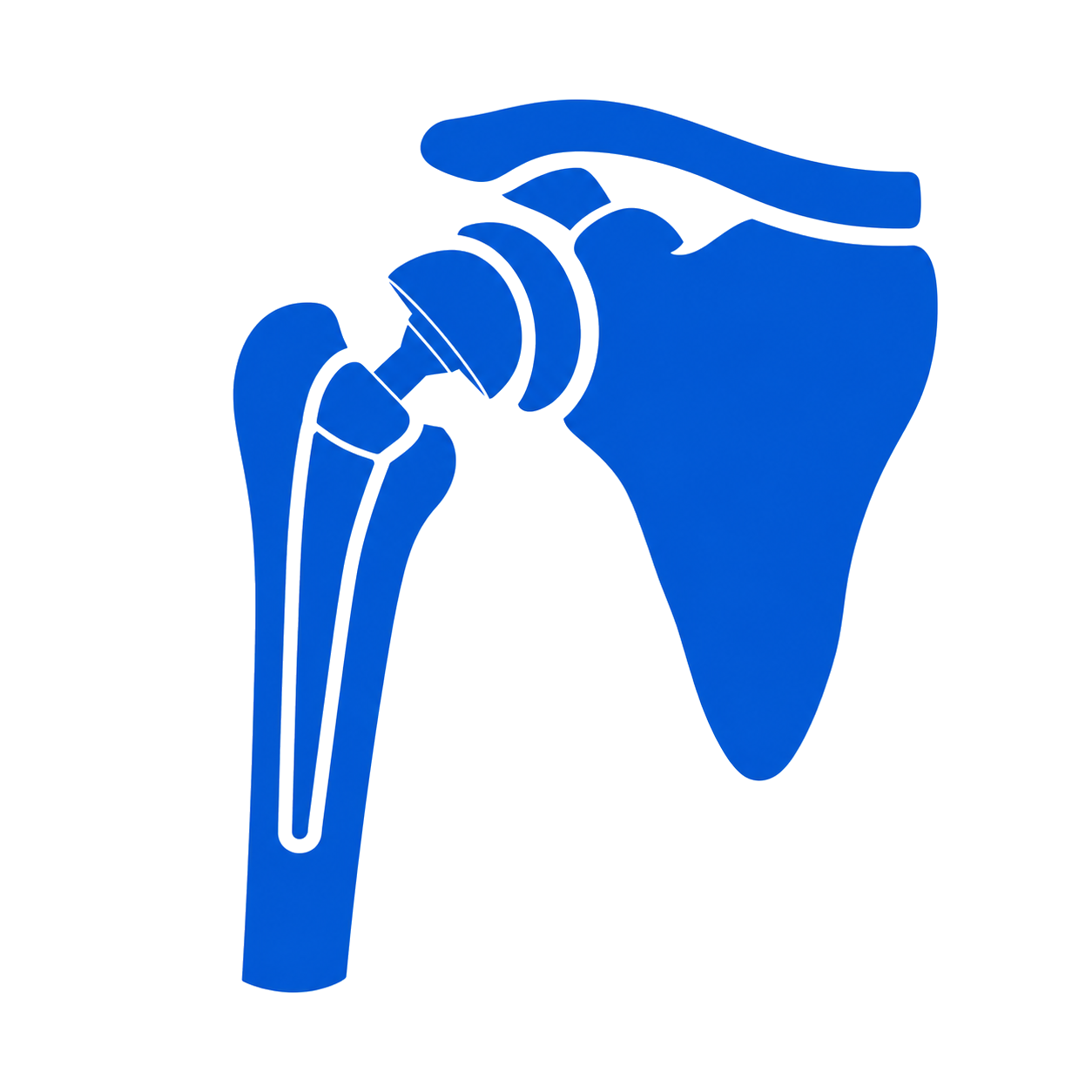 Shoulder Replacement icon